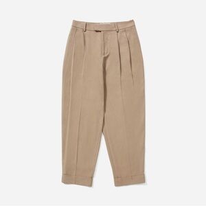 Everlane Put Together Pleat Pant in taupe